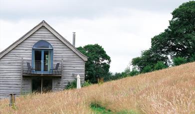 Wild Meadow | Meadow Cottage