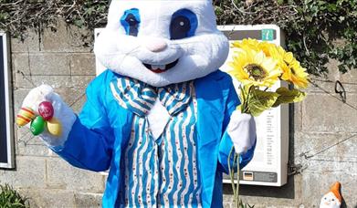 Easter Carrot Express at Welshpool & Llanfair Railway