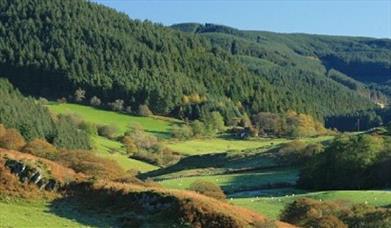 Spirit of the Miners Walks - Devil's Bridge Circular Walk