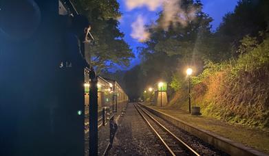 Summer evening excursions with Vale of Rheidol Railway