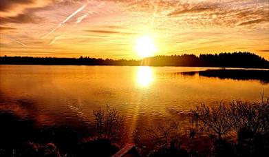 Llyn Llech Owain Country Park