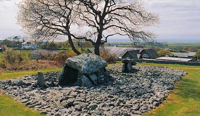 Dyffryn Ardudwy Burial Chamber (Cadw)