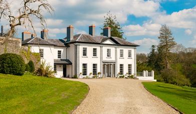 Plas Llangoedmor, Plas Estate