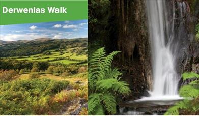 Dyfi Discovery Walk | Derwenlas Walk