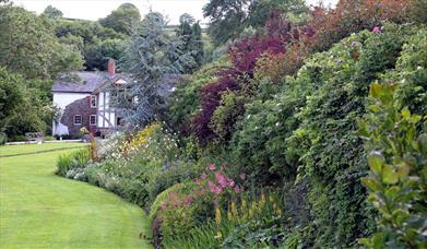 Cwm Weeg - Great lawn border