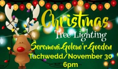 Machynlleth Christmas Tree Lights 2024