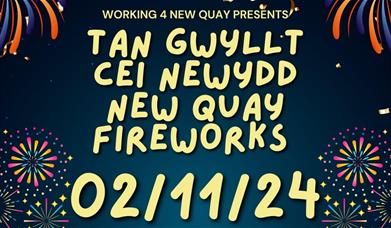 Tan Gwyllt Cei Newydd - New Quay Fireworks