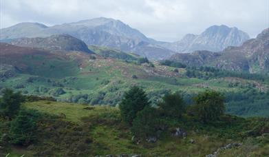 Trefriw Walking Festival