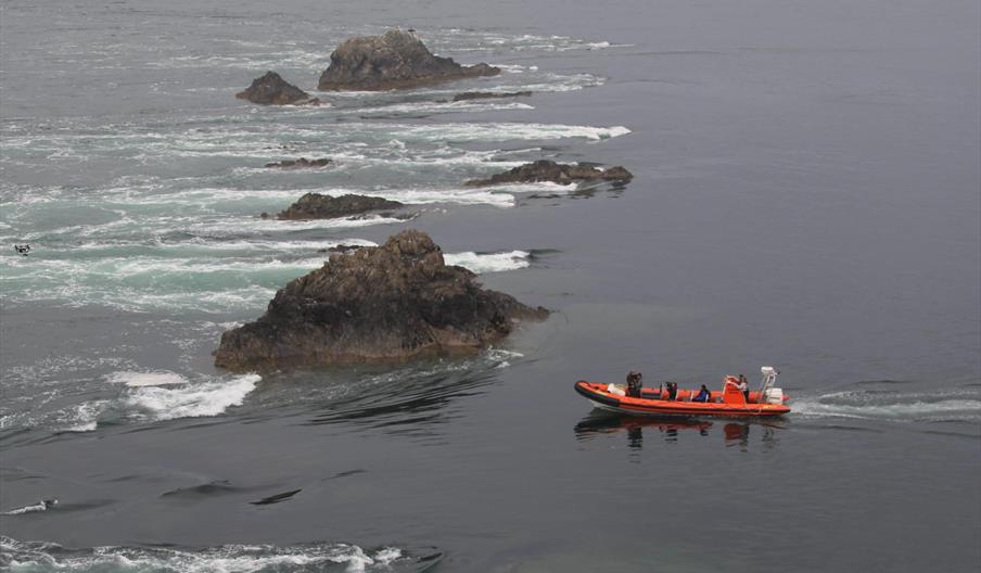 Falcon Boats