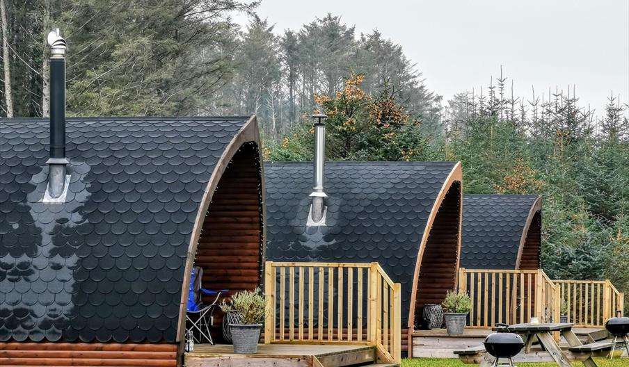 Glampio Coed Glamping