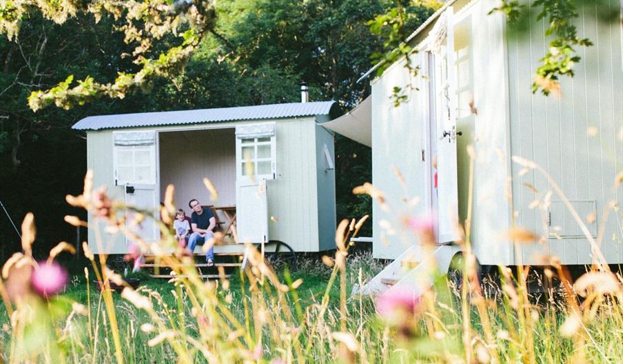 Father and son sitting in doorway of he shepherd's hut in a meadow of pink flowers