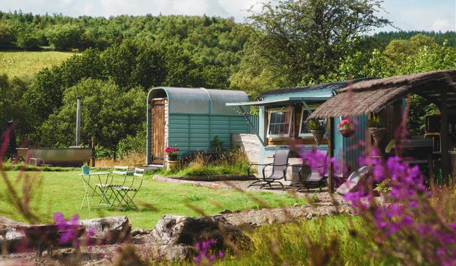 Shepherd's Hut at Belan Bluebell Woods