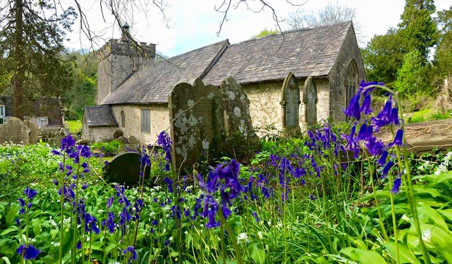 A photo of St Telios in the sun with Bluebells