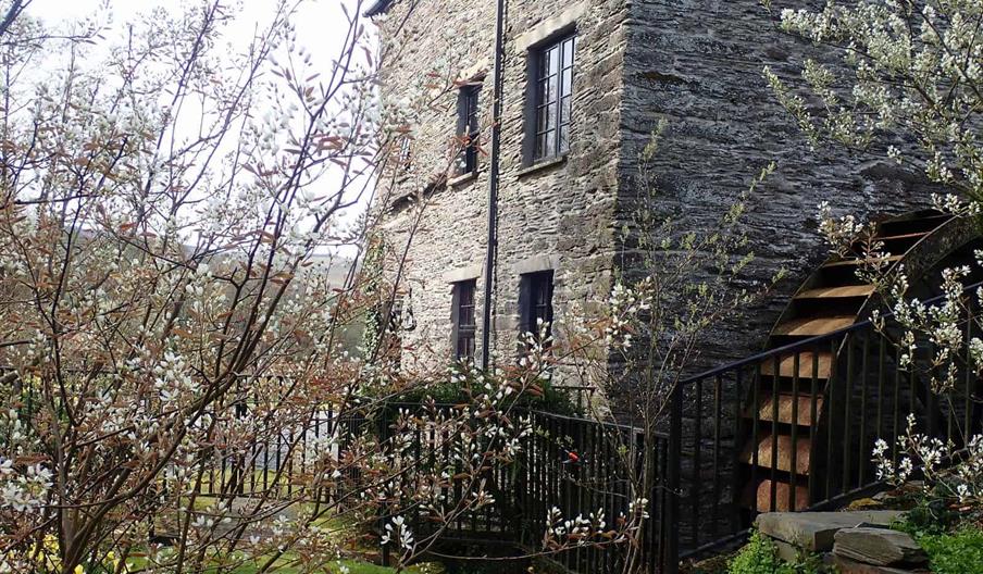 The Watermill at Felin Crewi Cottages