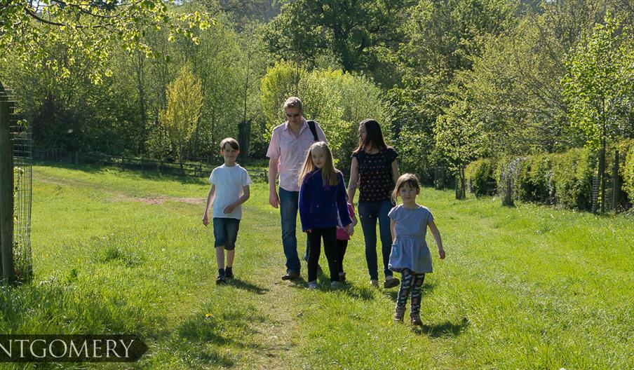 Walking in Countryside