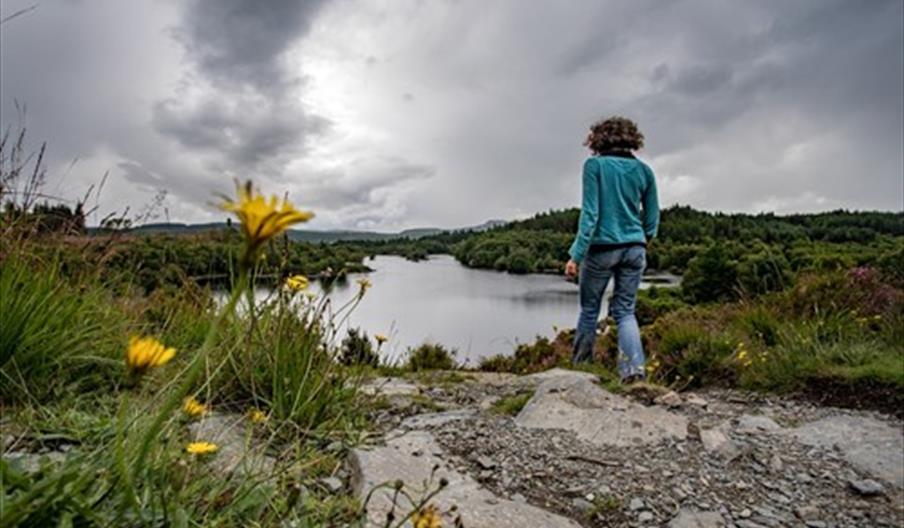 Llyn Elsi Trail