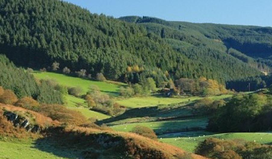 Spirit of the Miners Walks - Devil's Bridge Circular Walk