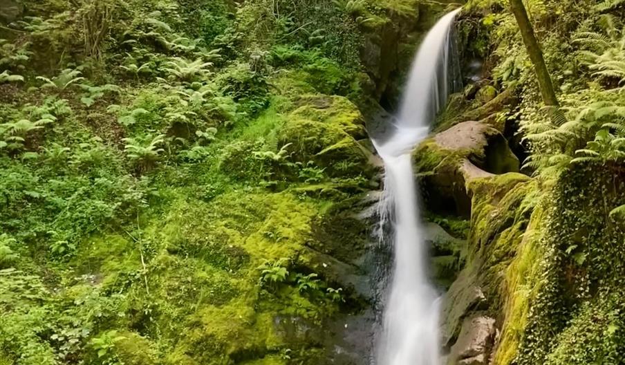 The lower falls at Dolgoch