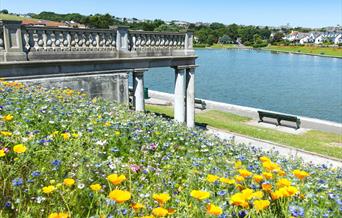 With its flower-filled borders, the gardens and lake are a great place for families to walk and picnic.  The focal point of the garden is a harp-shape