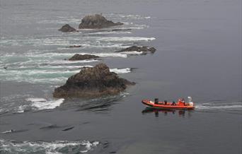 Falcon Boats