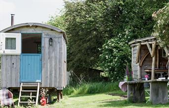 Wild Meadow Shepherd's Hut