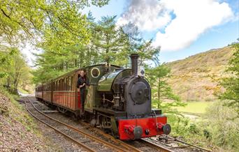 Loco No.4 'Edward Thomas' waits at Quarry Sidings to cross with another train.  Pic Barbara Fuller