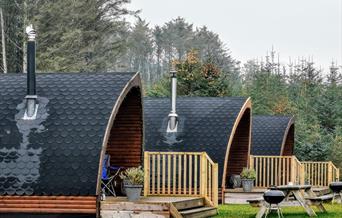 Glampio Coed Glamping