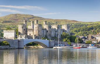 Conwy Castle (Cadw)