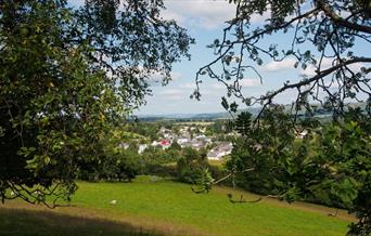 New Year Walk Guided Walk - Green Events Llanwrtyd Wells