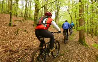 Long Wood Community Woodland