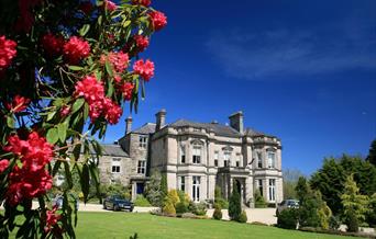 Tre-Ysgawen Hall Hotel & Spa