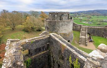 Dinefwr Castle