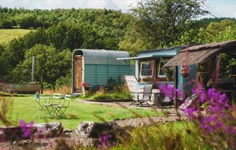 Shepherd's Hut at Belan Bluebell Woods