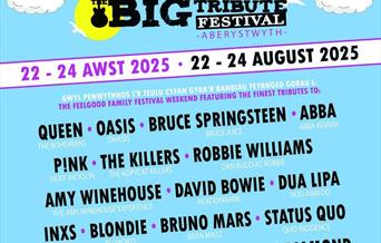 Big Tribute Festival 2025