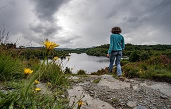 Llyn Elsi Trail