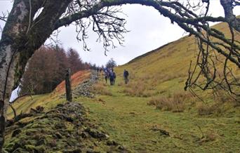 Lord Crawshaw Memorial Walk