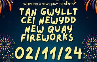 Tan Gwyllt Cei Newydd - New Quay Fireworks