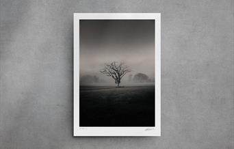 shop photography, limited edition prints by Brad Carr