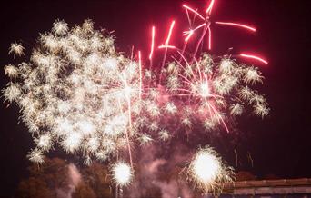 Fireworks at Sophia Gardens