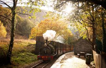 Sunset Specials | Talyllyn Railway