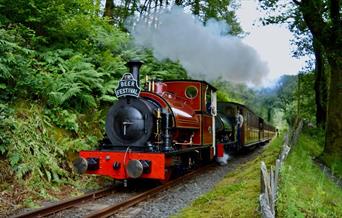 Beer Festival | Talyllyn Railway