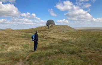 Mid-Wales 4 Day Walking Festival