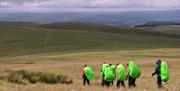 Brecon Beacons, Mynydd Myddfair, Bannau Sir Gaer