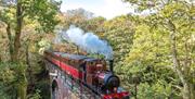 Number 2 'Dolgoch' crossing the viaduct, approaching Dolgoch Station.