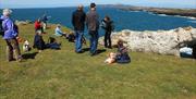 Group on cliff top on guided walk, Rhoscolyn