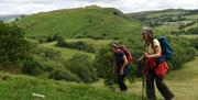 Heart of Wales Line - Trails