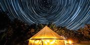 Daisy Bell Tent at Belan Bluebell Woods