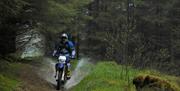 Ultimate Enduro Experience on Yamaha's latest WR range