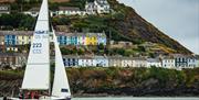 Wales Coast Path - New Quay, Ceredigion