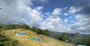 Meadow Camping at Belan Bluebell Woods